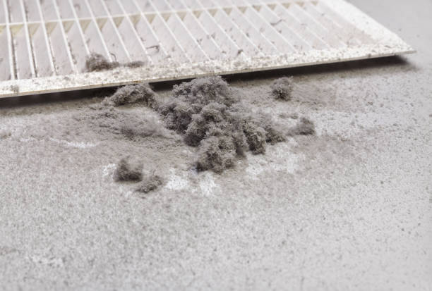 Best Ductwork Cleaning Services  in Hurley, MS